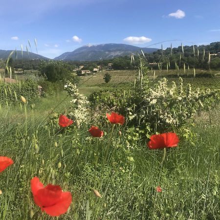 Le Mas De Colongene Faucon  Buitenkant foto